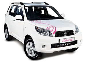 Замена стекла на Daihatsu Terios