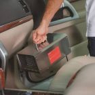 Обработка салона озоном